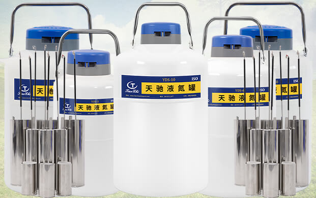 10升液氮罐能裝多少支凍精？