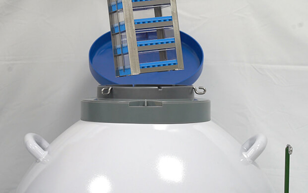 細(xì)菌可以凍在實(shí)驗(yàn)室液氮罐里嗎？